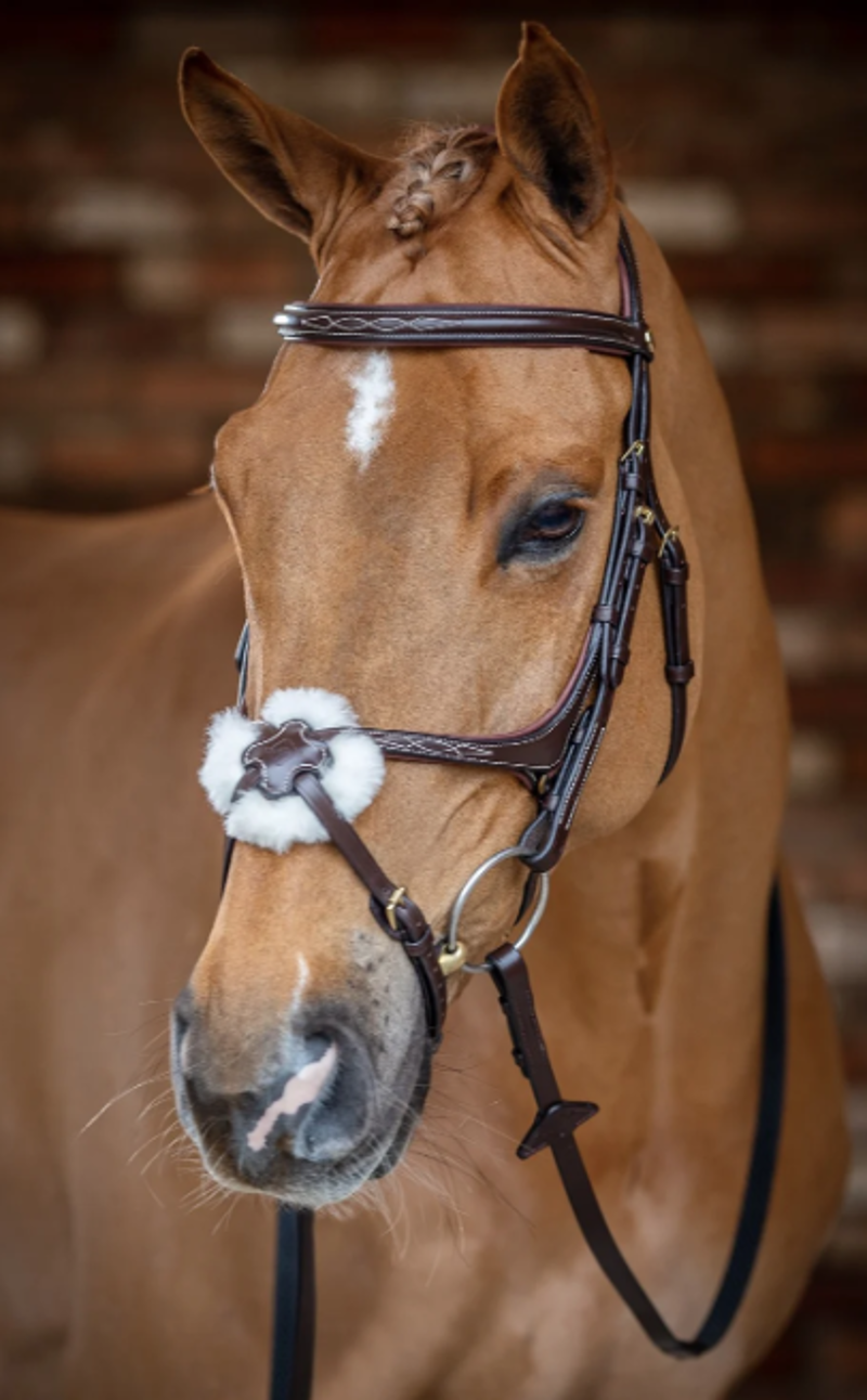 LeMieux Grackle Bridle Brown-1
